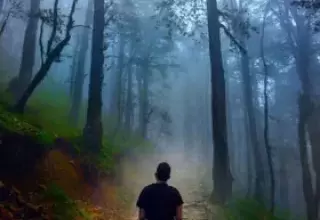 Kullu Manali Tour Packages from Ahmedabad