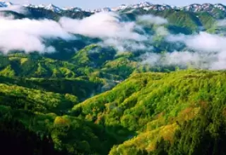Mussoorie Dhanaulti Tour Packages