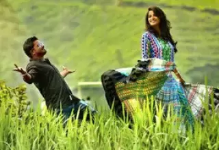 Ooty Honeymoon Packages