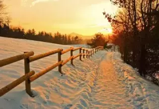 Grab Tour Packages to Shimla from Hyderabad