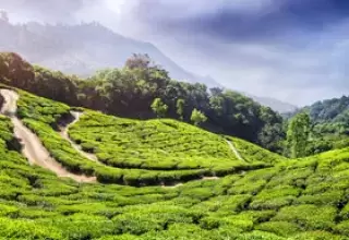 Treasures of North East Tour Package