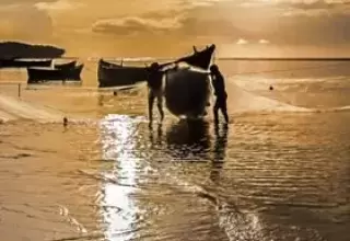 Best of Orissa Tour