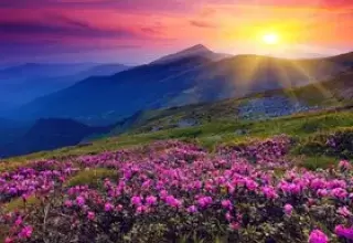 Dalhousie Dharamshala Amritsar Tour Packages