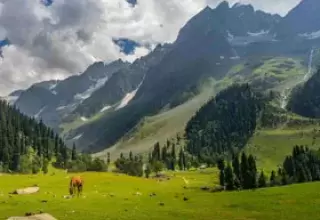 Dalhousie Khajjiar Chamba Dharamshala Tour