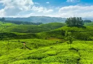 Gangtok Honeymoon Packages