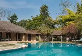 Jims Jungle Retreat