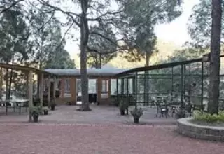 HILL'S PRIDE RESORT, KASAULI