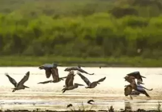 Manas National Park Tour