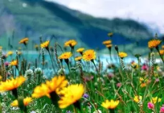 Nainital Ranikhet Corbett Tour Packages