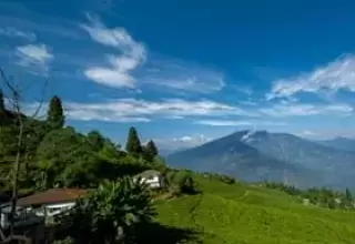 North East Honeymoon Packages