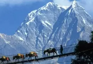 Gangtok Pelling Tour Packages