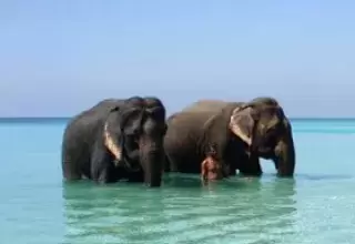 Port Blair Havelock Neil Island Package