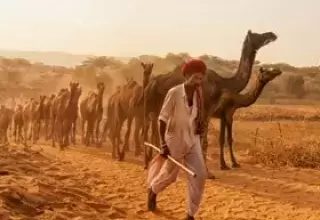 Rajasthan Desert Tour