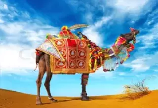 Rajasthan Tour Packages from Pune