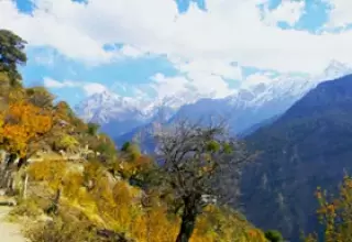 Memorable Tour packages to Shimla from Delhi