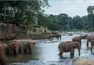 Sri Lanka Tour