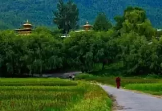 Thimphu Punakha Paro