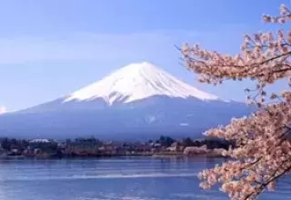 Tokyo Kyoto Tour
