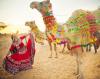 rajasthna holiday package