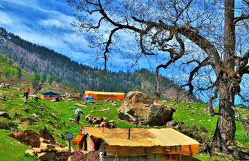 Things to do in Himachal Pradesh